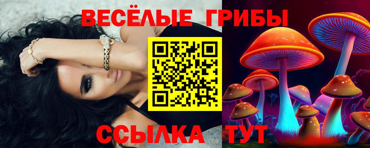 даркнет сайт  Вход с VPN  Галлюциногенные грибы Magic Shrooms  Кизилюрт  Галлюциногенные грибы Cubensis 